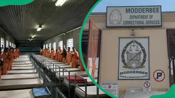 List of 15 maximum prisons in South Africa in 2024: Worst prisons in SA ...