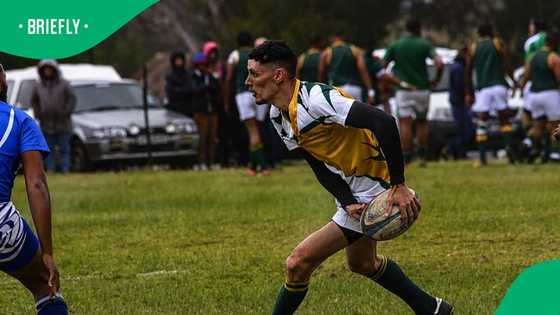 ‘He Really Loved Rugby’: Police Reveal Details After Chad Steyn’s Fatal ...