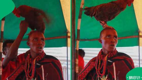 African Chicken Ritual “Not Sure How To Feel About This”: Initiate’s Ritual With Chicken ...