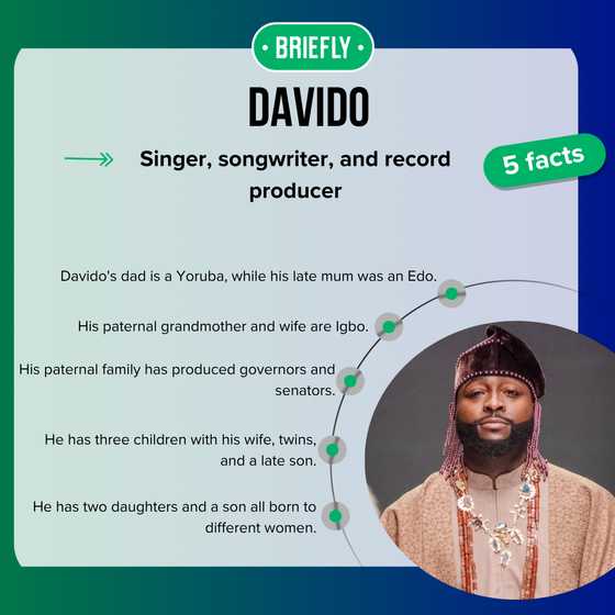 Davido's biography: his real name, family legacy, musical milestones ...