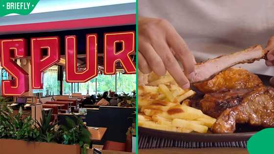 “Thabo Mbeki’s Era”: Price of Spur’s Ribs in 2004 Stuns South Africans ...