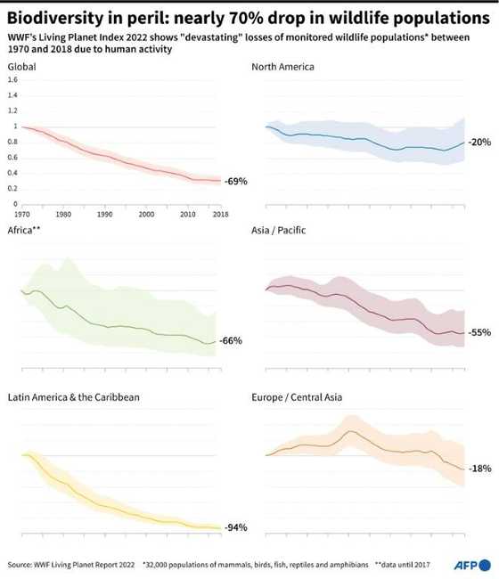 Wildlife Populations Plunge 69% Since 1970: WWF - Briefly.co.za