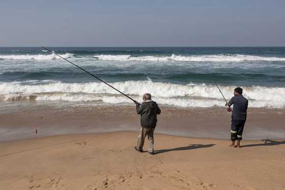 Body of Infant Found Murdered at Brighton Beach, Durban - Briefly.co.za