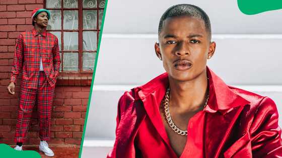 Thapelo Dithebe Who is Thato Dithebe? Get to know the House of Zwide actor - Briefly.co.za