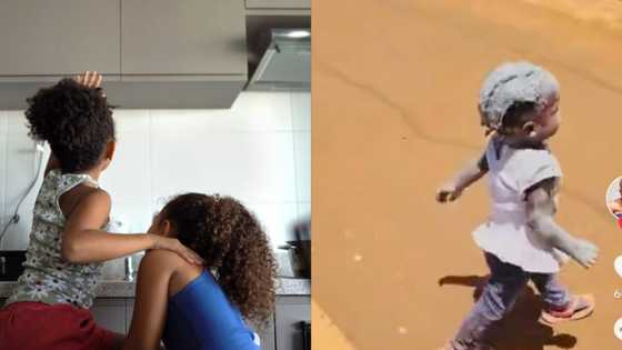 TikTok video shows naughty bundles of joy caught in act, netizens howl in laughter: "Little one is the leader"