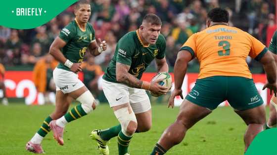 Wallabies beat Springboks 38-22 in Rugby Championship thriller at Ellis Park