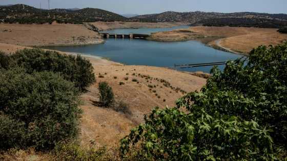 Drought forces water use rethink in Spain