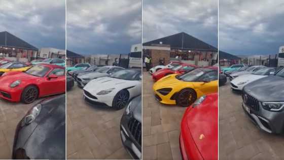 "Limpopians have money shem": Fancy Sports cars stop the show at Limpopo wedding