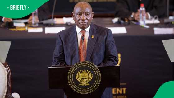 President Cyril Ramaphosa and his executive to undergo lifestyle audits, SA remains sceptical