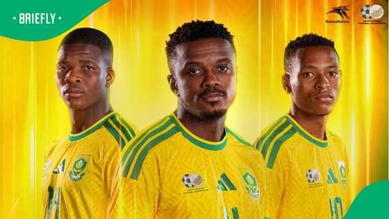 How much each yellow and red card will cost Bafana Bafana at the World Cup