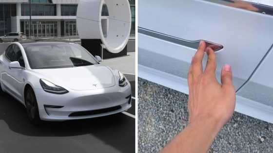 Tesla's Model 3 door handles can be tricky to use; viral video shows many ways owners fail