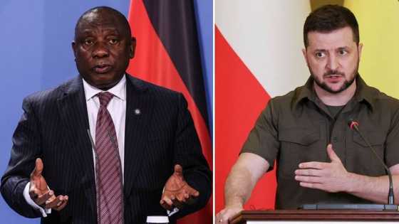 President Cyril Ramaphosa discusses war with Ukrainian President Volodymyr Zelensky, offers to mediate with Russia