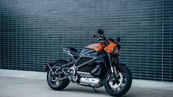 Everything to know about owning an electric motorbike in South Africa in 2022