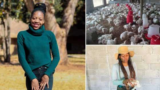 Chicken farmer who employs 4 people says dad inspired her love of agriculture