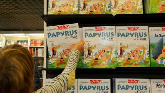 'Asterix' takes on new writer for 2023 instalment