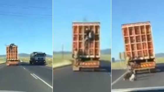 “Mzansi”: Social media users in disbelief as they react to video of tsotsis robbing truck