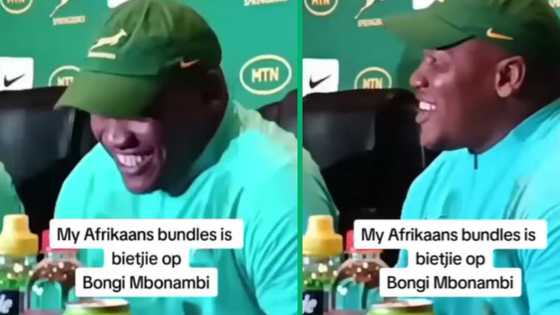 Springbok Bongi Mbonambi’s Afrikaans bundle runs out during press conference: Mzansi shows support