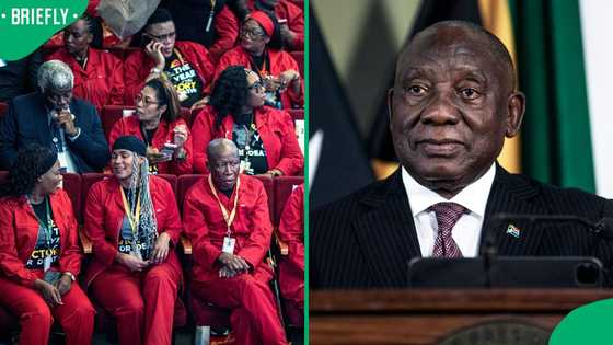 EFF seeks Constitutional Court intervention after President Ramaphosa secures impeachment interdict