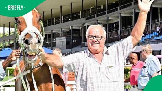 Tragedy in the Vaal: Veteran horse trainer murdered as racing community mourns