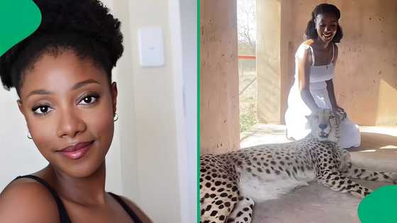 Woman's terrifying encounter with cheetah turns nightmarish, SA reacts: "I would collapse"