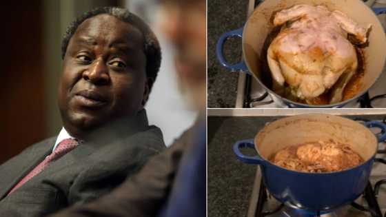 "I'll be vegetarian": Tito Mboweni's suspect looking chicken has SA in stitches