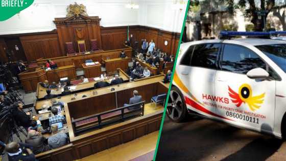 Durban tycoon's human trafficking case postponed after first court appearance