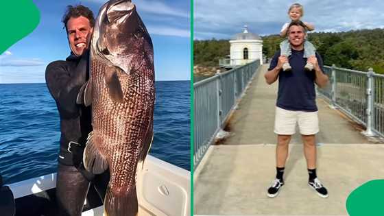 "What a horrific way to die": Australian fisherman dies after being attacked by shark, SA astonished