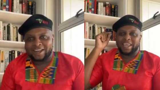 Mzansi reacts: Floyd Shivambu says EFF will be SA's 2nd biggest party