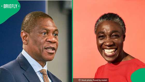 Paul Mashatile rejects jobs-for-pals claims, SA amused as he says ANC deployments are merit-based