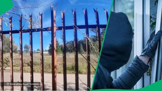Suspected Pretoria tsotsi dies on fence after allegedly stealing Mackbooks and iPhones
