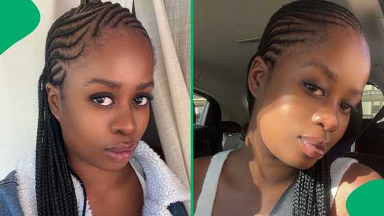 "Send those twigs back": Woman’s online Christmas tree shopping fail stuns South Africans