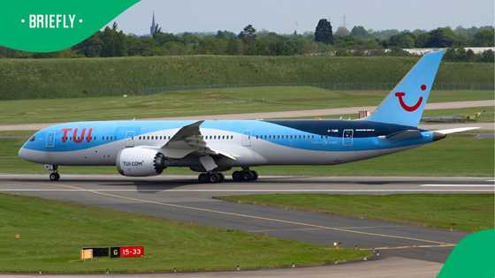 Stowaway snake found on commercial 9-hour TUI flight from Mexico to London