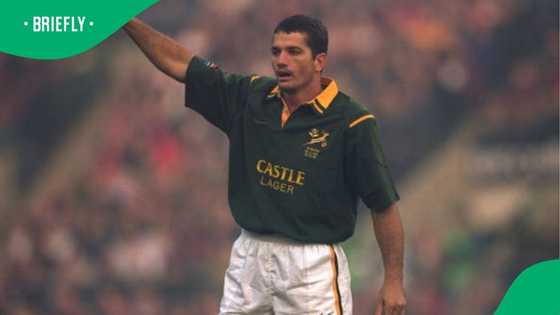 New Zealand show ranks top 5 Springboks legends, Late Jooste van der Westhuizen honoured