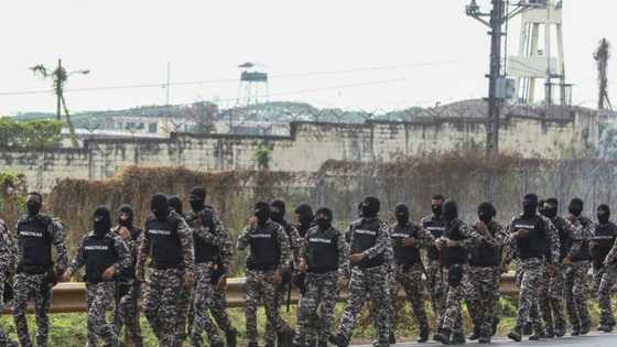 Ecuador drug violence: six police wounded in prison riot
