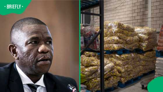 Old video of Nhlanhla Mkhwanazi discovering illegal immigrants selling expired food resurfaces