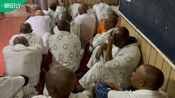 'Our own members are involved': Westville Prison raid exposes prohibited contraband