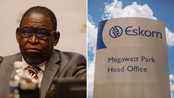 Finance Minister Enoch Godongwana withdraws Eskom’s PFMA exemption after public outcry