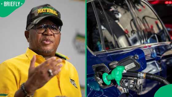 Fikile Mbalula hails fuel levy cuts as relief for the people, South Africans criticise his statement