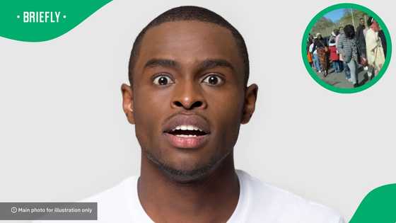 "They're entering the legal way": Long border queue to South Africa from Mozambique sparks debate