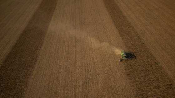 Warsaw, Kyiv make breakthrough on Ukrainian grain transit