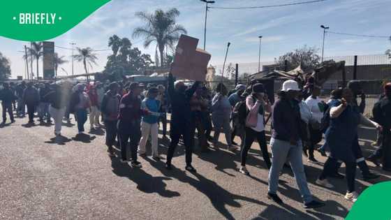 Illegal Foreign National Arrested in Front of Dada Morero After Mocking South Africans