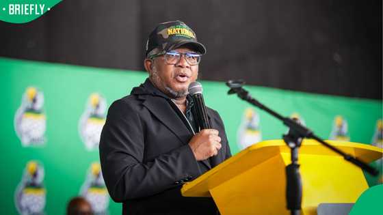 Fikile Mbalula urges citizens to stop calling foreigners 'Amakwerekwere', South Africans react