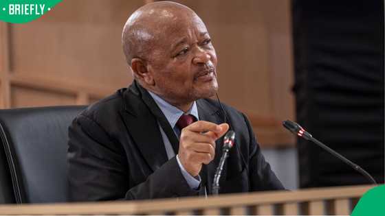 Senzo Mchunu accused of interfering in IDAC Crime Intelligence investigation, SA reacts to claims