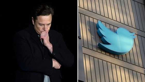 Elon Musk and #RIPTwitter trend as social media giant temporarily closes its doors, creating panic online