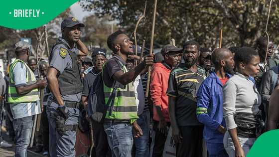 Illegal immigrants arrested in Mpumalanga during Abahambe march