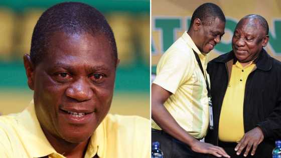 Mashatile says he is prepared to step up as SA's deputy president, citizens react: "He must just forget"