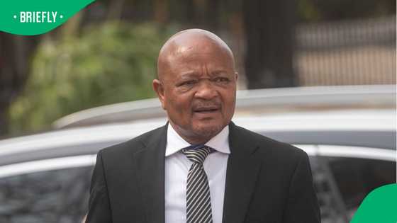 Senzo Mchunu to appear before ANC's Integrity Commission over Madlanga Commission claims, SA amused