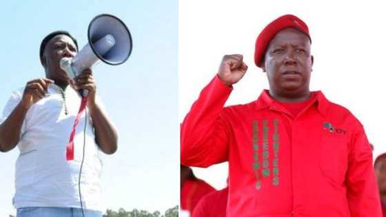 EFF invites artists to a meeting on intellectual property as the industry gears up for another month of lockdown