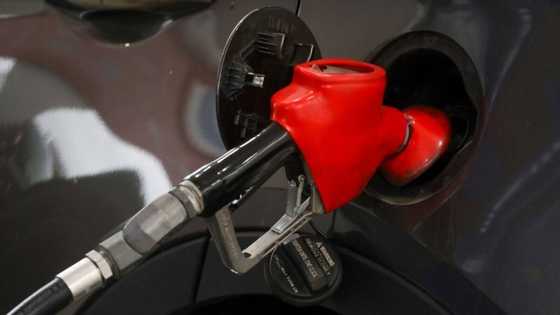 Looming fuel crisis raises concerns for economists: "Time to start riding bikes"