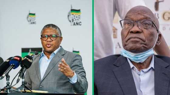 Security fears prompt ANC to postpone Jacob Zuma's hearing until after elections at Luthuli House